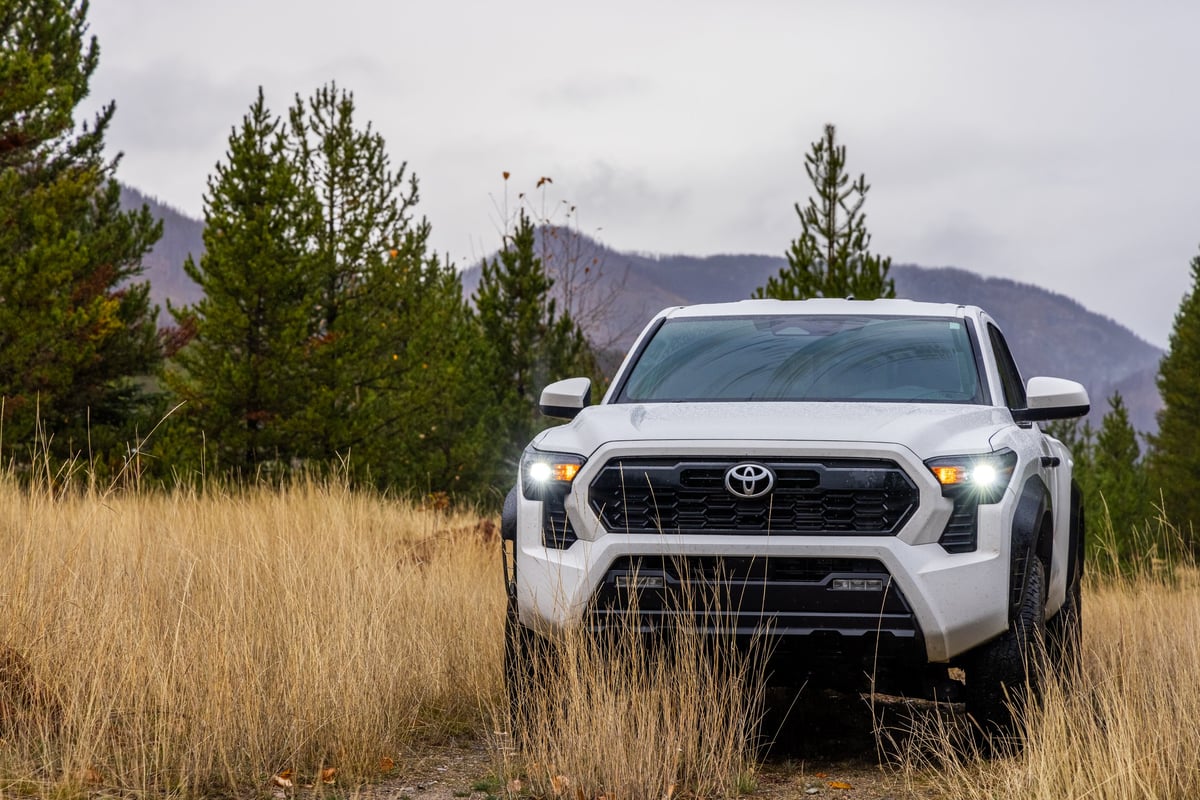 BC, Canada - October 26, 2024: A white 2024 Toyota Tacoma TRD Off-Road parked amidst wet grass in a scenic, rainy forest setting.
